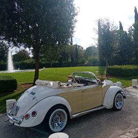 Maggiolino Cabrio Speedster